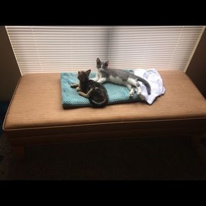 Leather window/ entryway bench seat